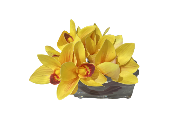 Cymbidium Orchids Oakland Park Florist Flower Delivery By 2 Lips Floral Design 