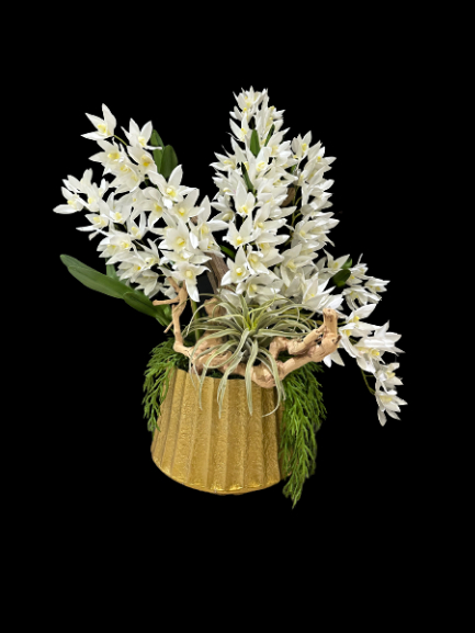 White Artificial Cymbidium Orchids Oakland Park Florist Flower Delivery By 2 Lips Floral Design 