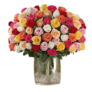 100 Premium Colored Roses