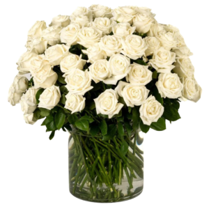 100 Premium Long Stem White Roses