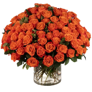 100 Premium Long Stem Orange Roses