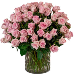 100 Premium Long Stem Light Pink Roses